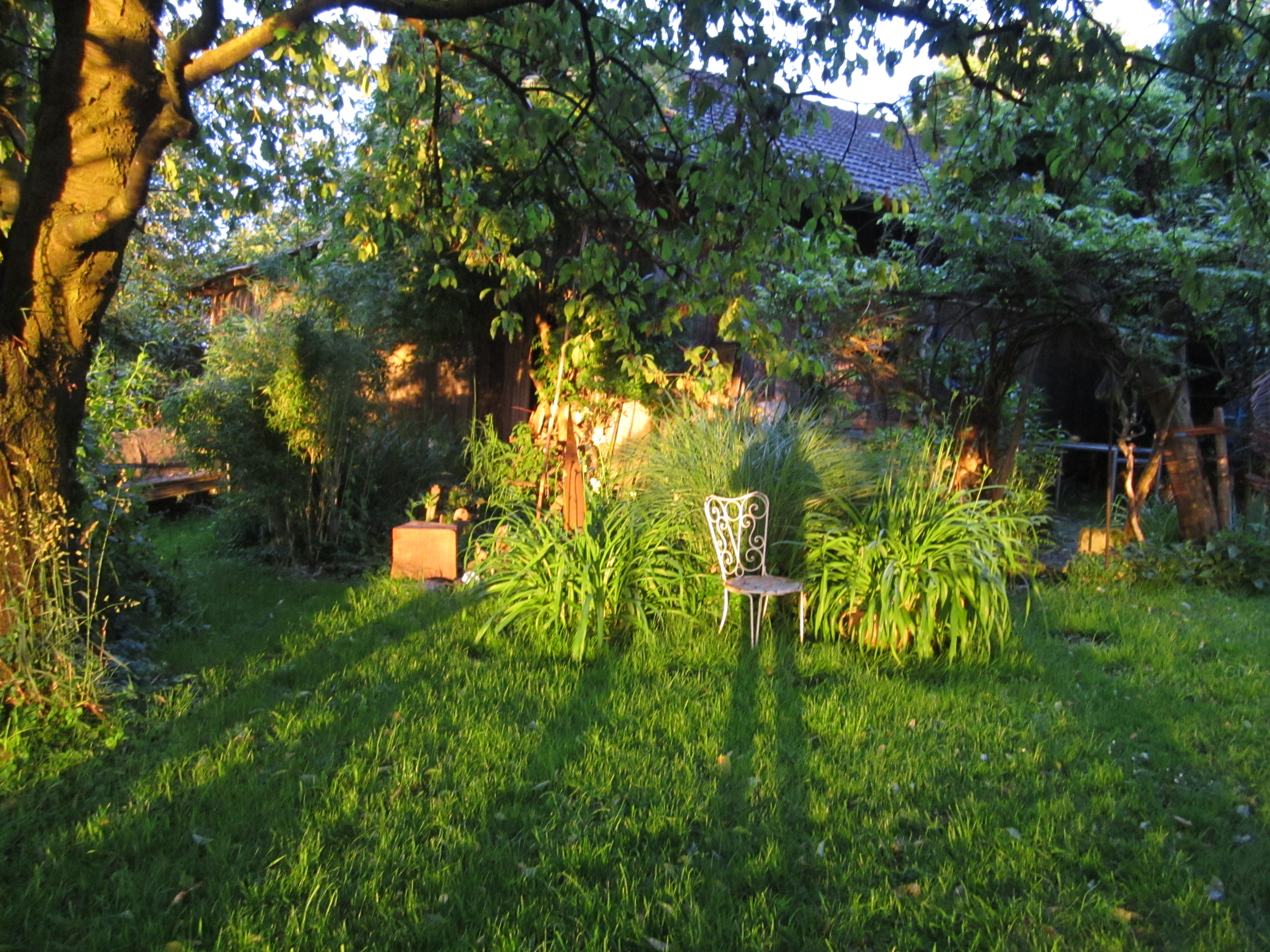 Endlich Garten-Feeling…